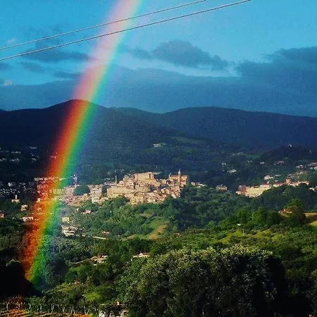 Terra Sabina *