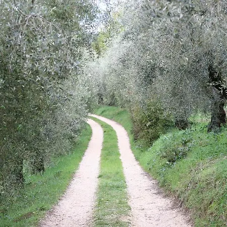 Farm stay Terra Sabina