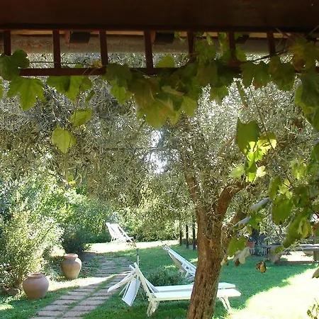 Farm stay Terra Sabina