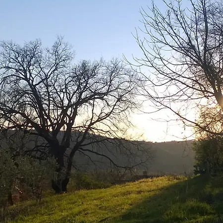 Terra Sabina * Poggio Mirteto